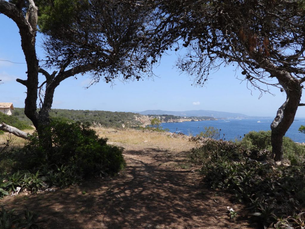 View of the coast from the abandoned military barracks.