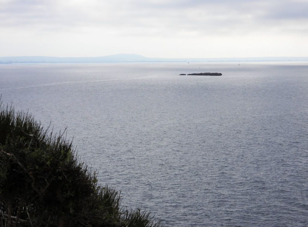 Sec island in Palma bay from near Portals Vells