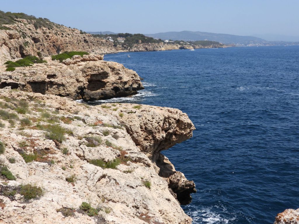 Costa desde Cala Figuera hacia Portals Vells.