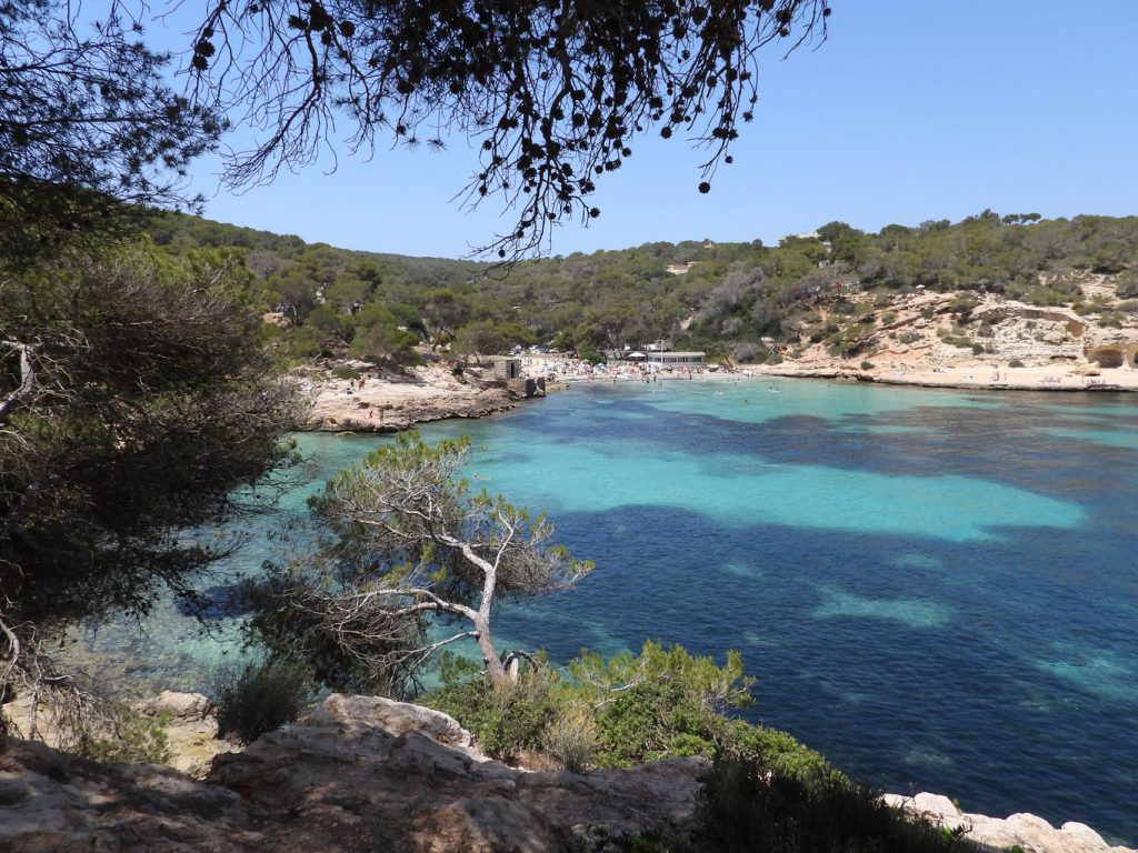 Portals Vells beach.