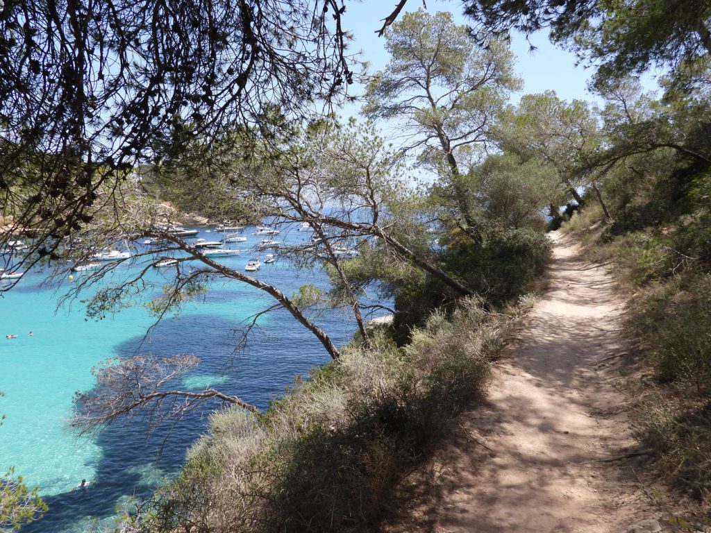 Sendero que conecta Portals Vells y la playa de El Mago.