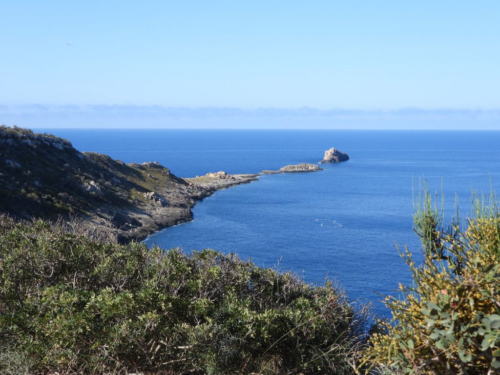 La isla del Toro island desde el inicio del camino.