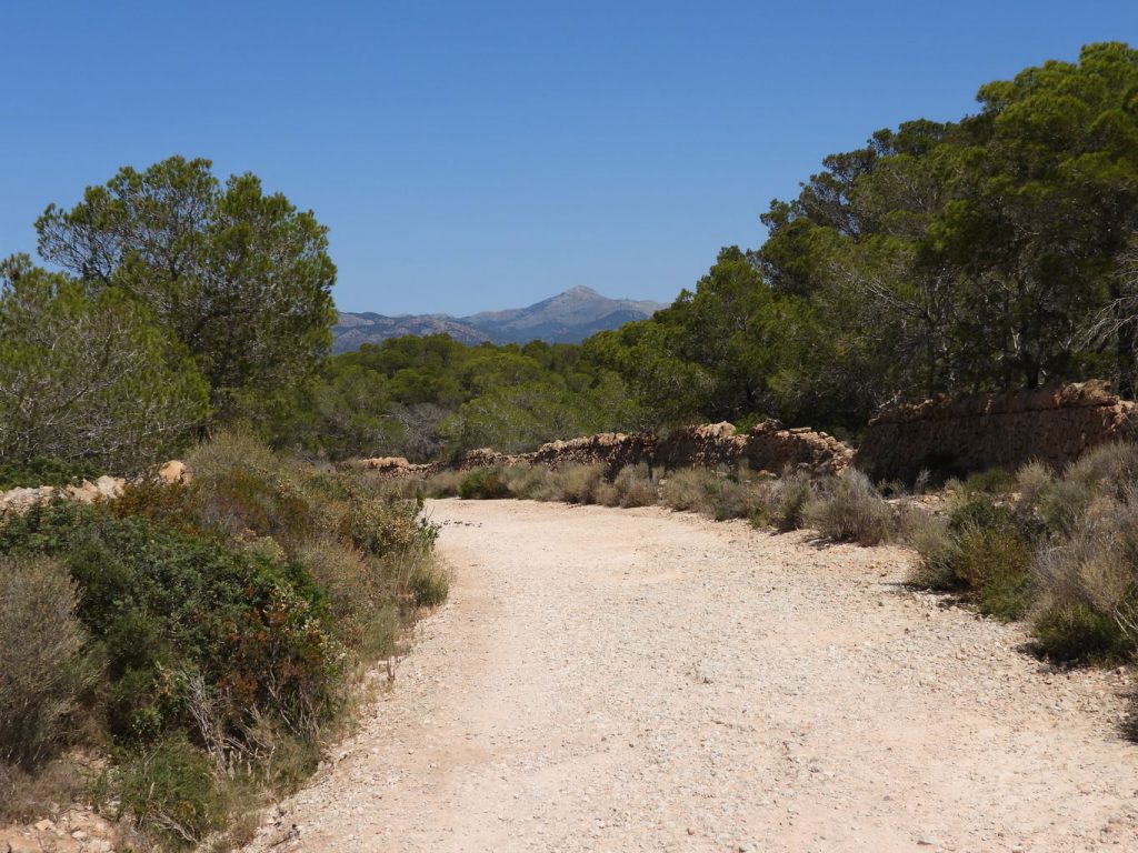 Al regresar al punto de partida se puede ver la montaña de Galatzó.